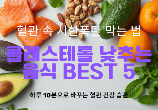 콜레스테롤 낮추는 음식 추천과 건강한 생활 습관