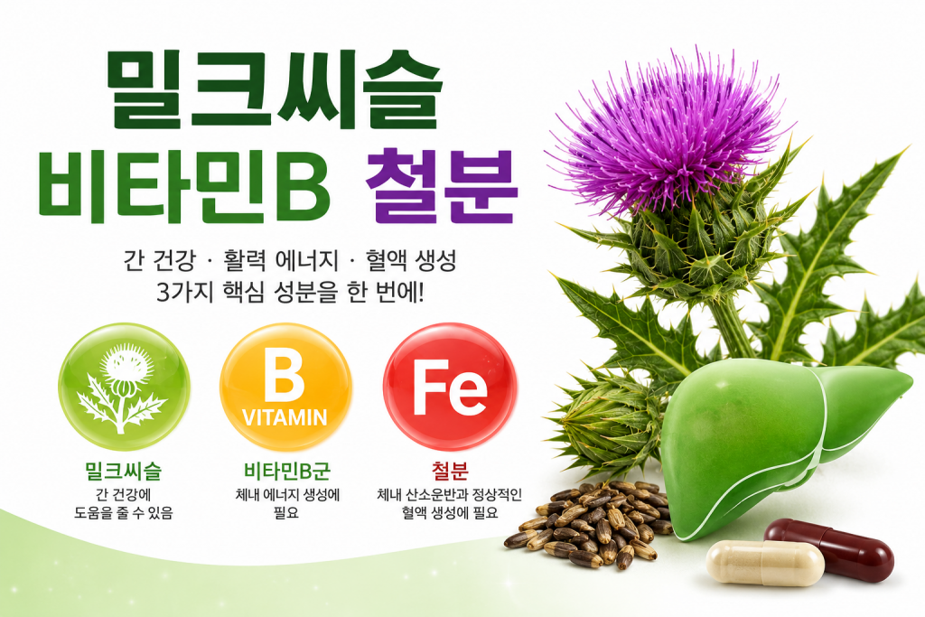 30대 필수 영양제 성분, 밀크씨슬 비타민B 철분