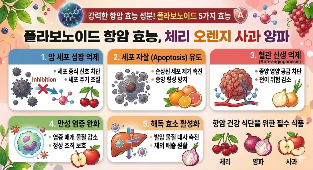 플라보노이드 항암 효능, 체리 오렌지 사과 양파