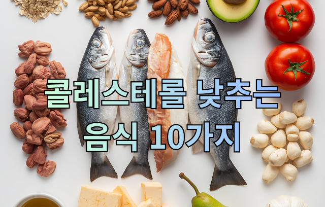 콜레스테롤 낮추는 음식 10가지, 건강한 식단으로 관리하는 방법