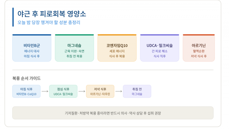 야근 후 피로회복 영양소 5가지, 비타민B 마그네슘 코엔자임Q10 UDCA 아르기닌