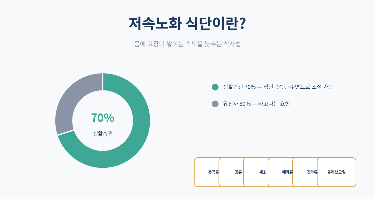 저속노화 식단 개념 인포그래픽 콩 잡곡 채소