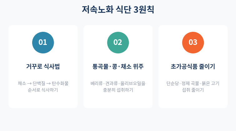 저속노화 식단 원칙 3가지 인포그래픽