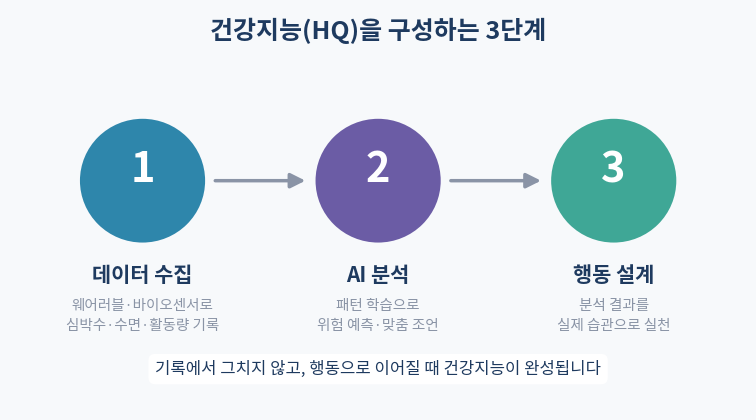 건강지능 HQ 3가지 구성요소 인포그래픽