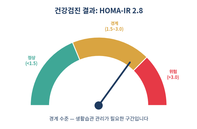 인슐린 저항성 자가진단 건강검진 수치 확인