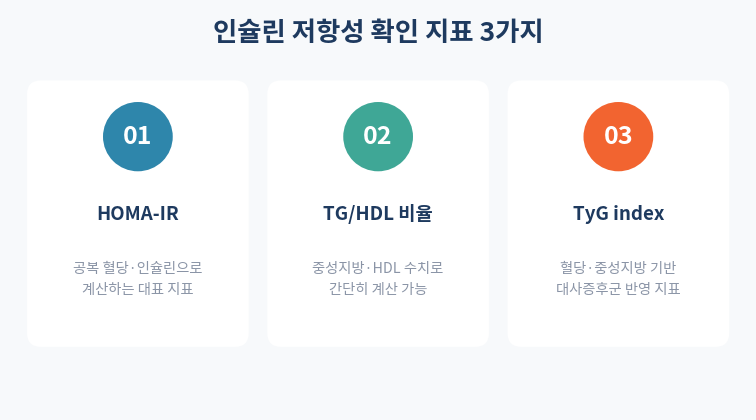 인슐린 저항성 검사 방법 HOMA-IR TyG index