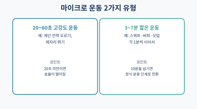 마이크로 운동 2가지 유형 20초 60초 3분 7분
