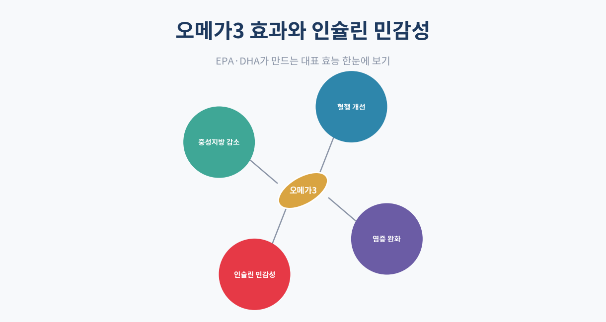 오메가3 인슐린 민감성 개선 효과|적정 섭취량까지 완벽 정리