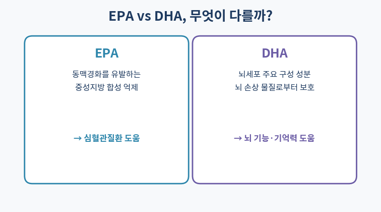 오메가3 EPA DHA 차이 비교 인포그래픽