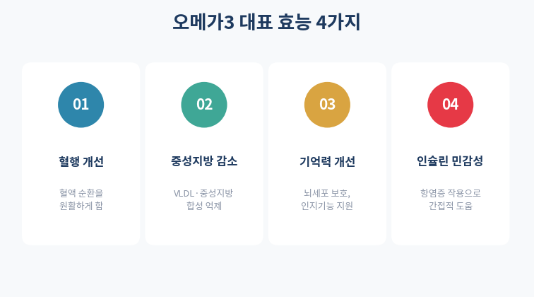 오메가3 대표 효능 4가지 인포그래픽