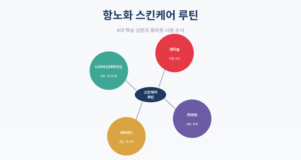 항노화 스킨케어 루틴 핵심 성분 인포그래픽