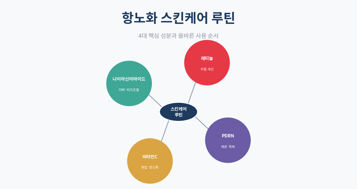 항노화 스킨케어 루틴 완벽 가이드|핵심 성분과 순서 총정리