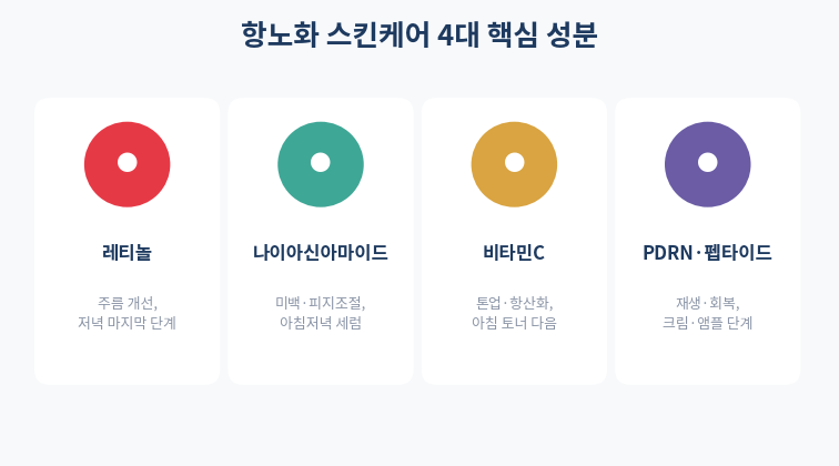 항노화 스킨케어 4대 핵심 성분 카드형 정리
