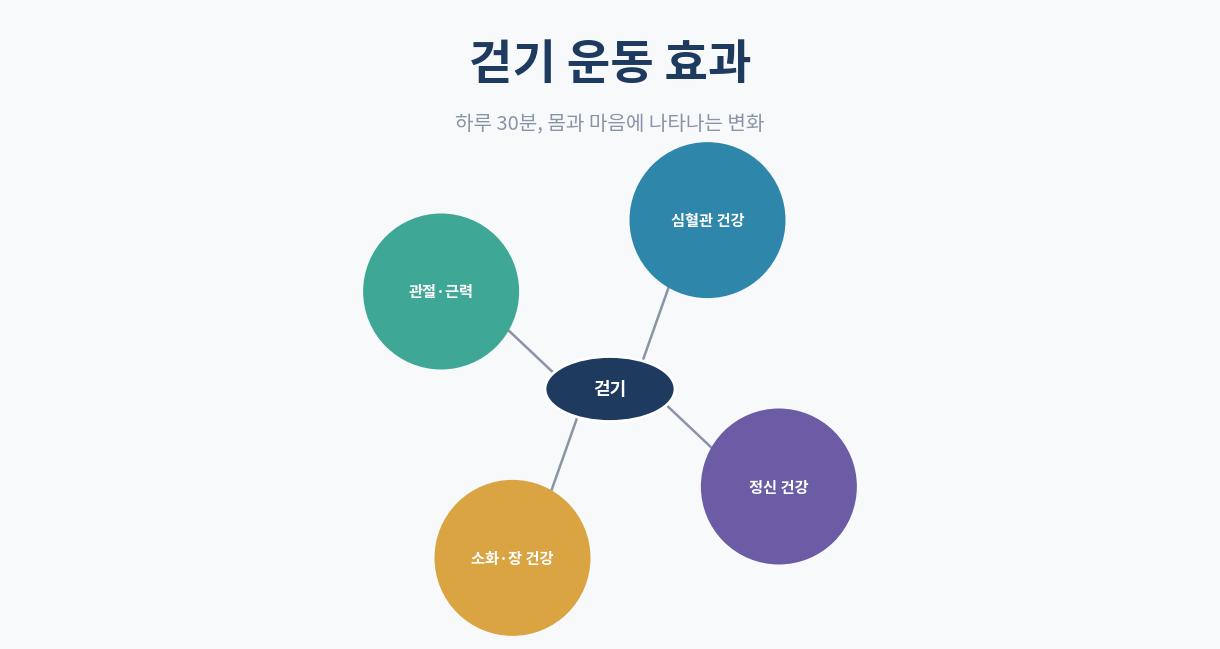 걷기 운동 효과 인포그래픽