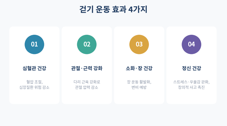 걷기 운동 효과 신체 정신 4가지 카드형 정리
