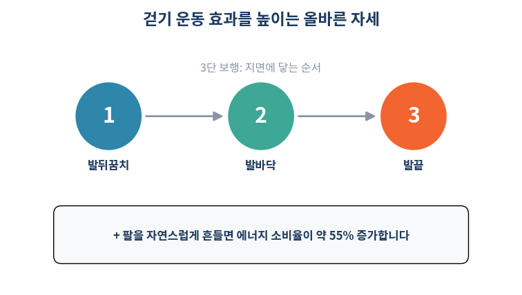 걷기 올바른 자세 3단 보행과 팔 흔들기