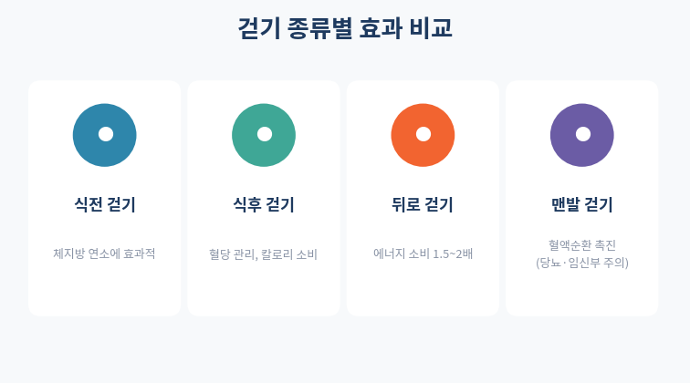 걷기 종류별 효과 비교 인포그래픽