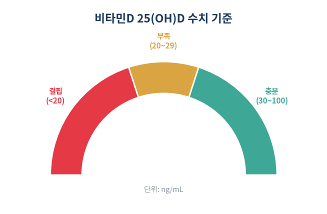 비타민D 결핍 부족 충분 기준치 게이지