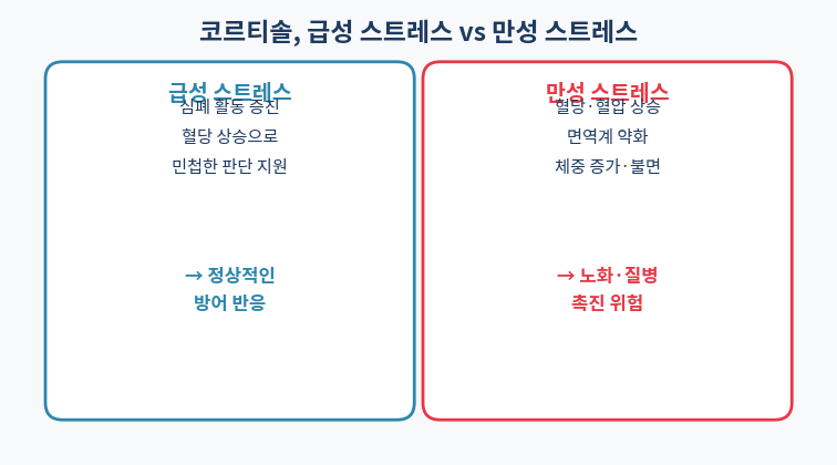 코르티솔과 스트레스가 몸에 미치는 영향