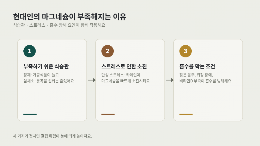 마그네슘 결핍을 부르는 현대인의 원인 3가지...