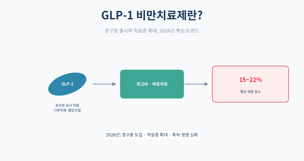 GLP-1 비만치료제란|경구용 출시와 적응증 확대 총정리