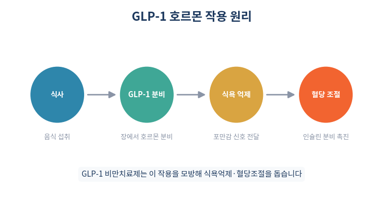 GLP-1 호르몬 작용 원리 식욕억제 혈당조절