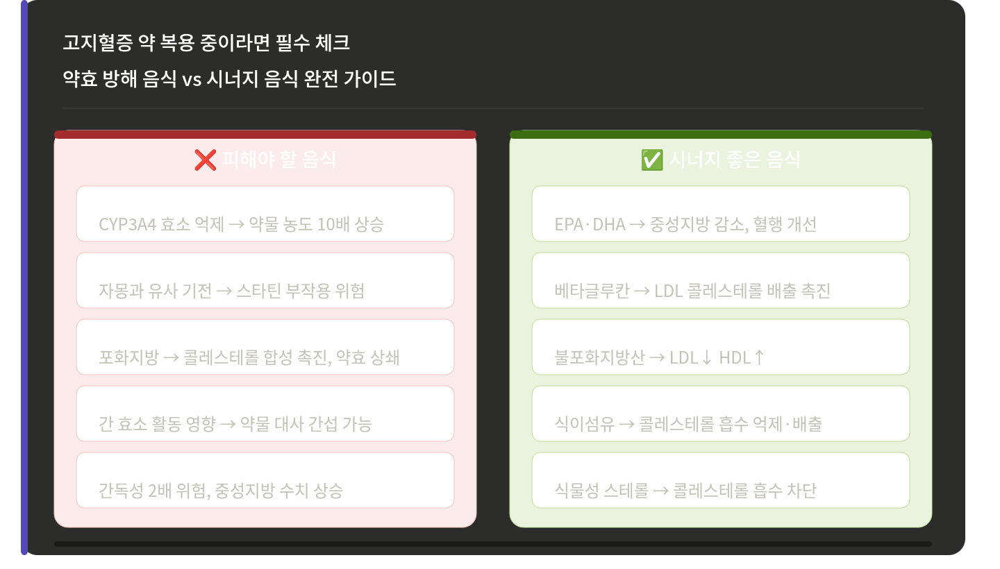 고지혈증 약 복용 중이라면 필수 체크|약효 방해 음식 vs 시너지 음식 완전 가이드