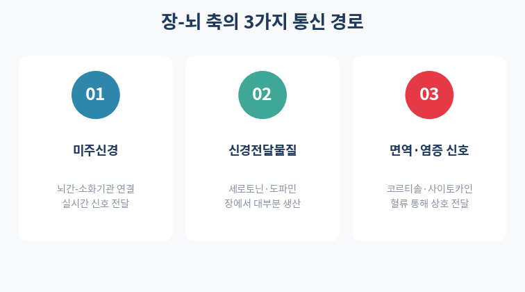 장-뇌 축 3가지 통신 경로 미주신경 세로토닌 면역신호