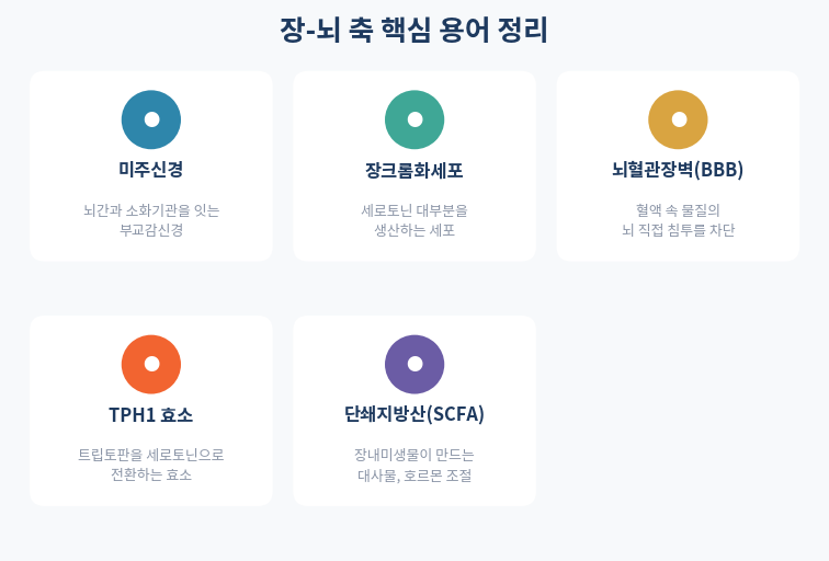 장-뇌 축 핵심 용어 정리