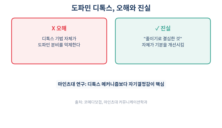 도파민 디톡스 효과 연구 결과 오해와 진실