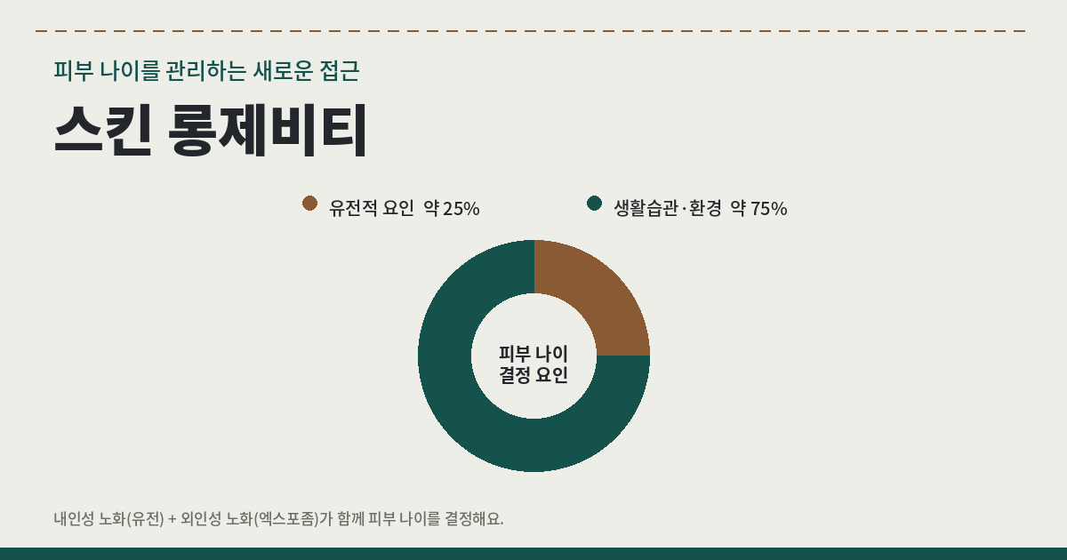 피부 세포의 건강한 수명을 관리하는 스킨 롱제비티 개념 이미지