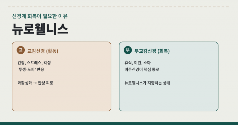 신경계를 안정시키는 뉴로웰니스 실천 이미지