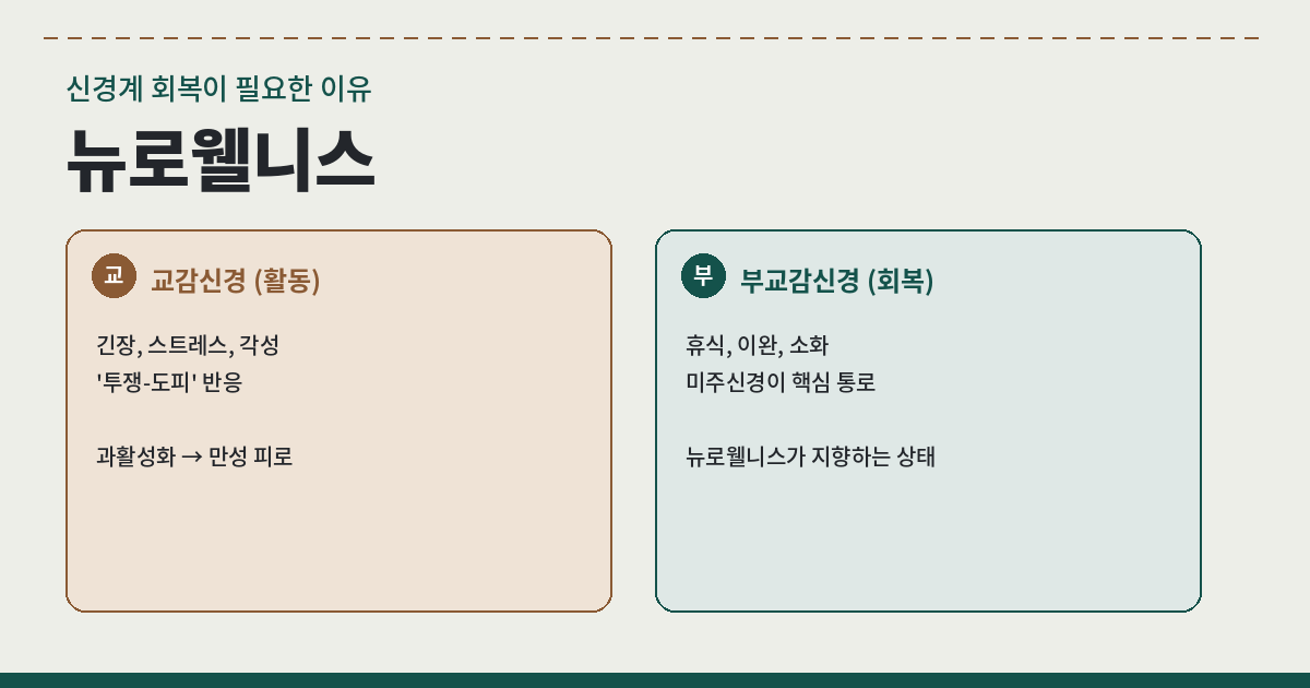 신경계를 안정시키는 뉴로웰니스 실천 이미지