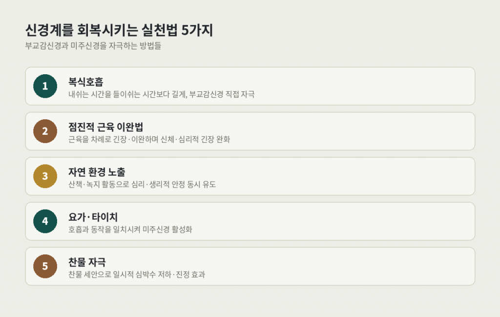뉴로웰니스 실천법 5가지 — 복식호흡, 점진적 근육 이완법, 자연 환경 노출, 요가·타이치, 찬물 자극