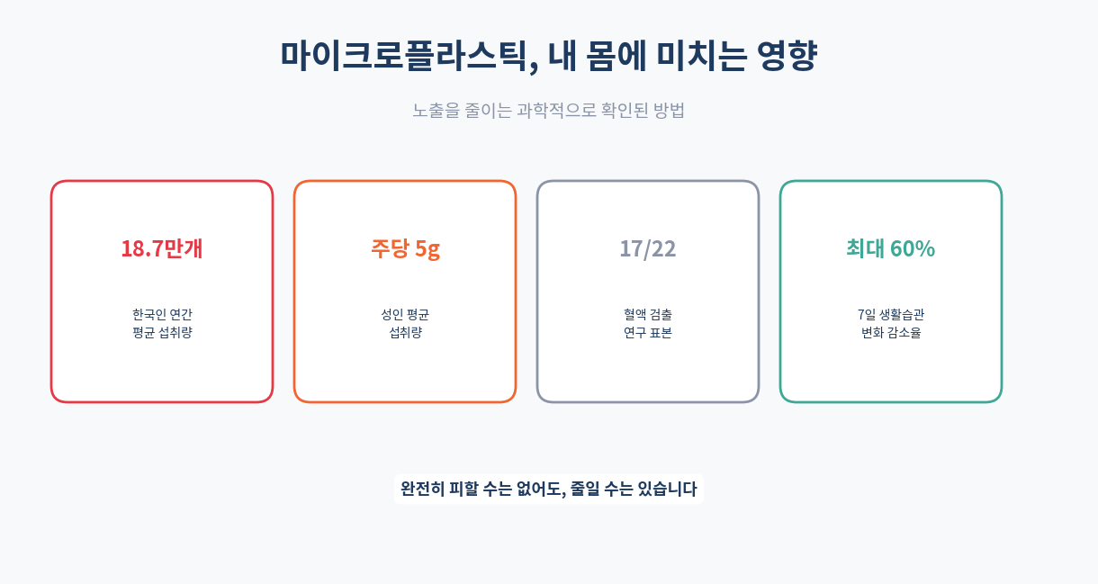 마이크로플라스틱 건강 영향 인포그래픽
