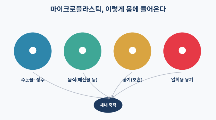 마이크로플라스틱 노출 경로 수돗물 음식 공기