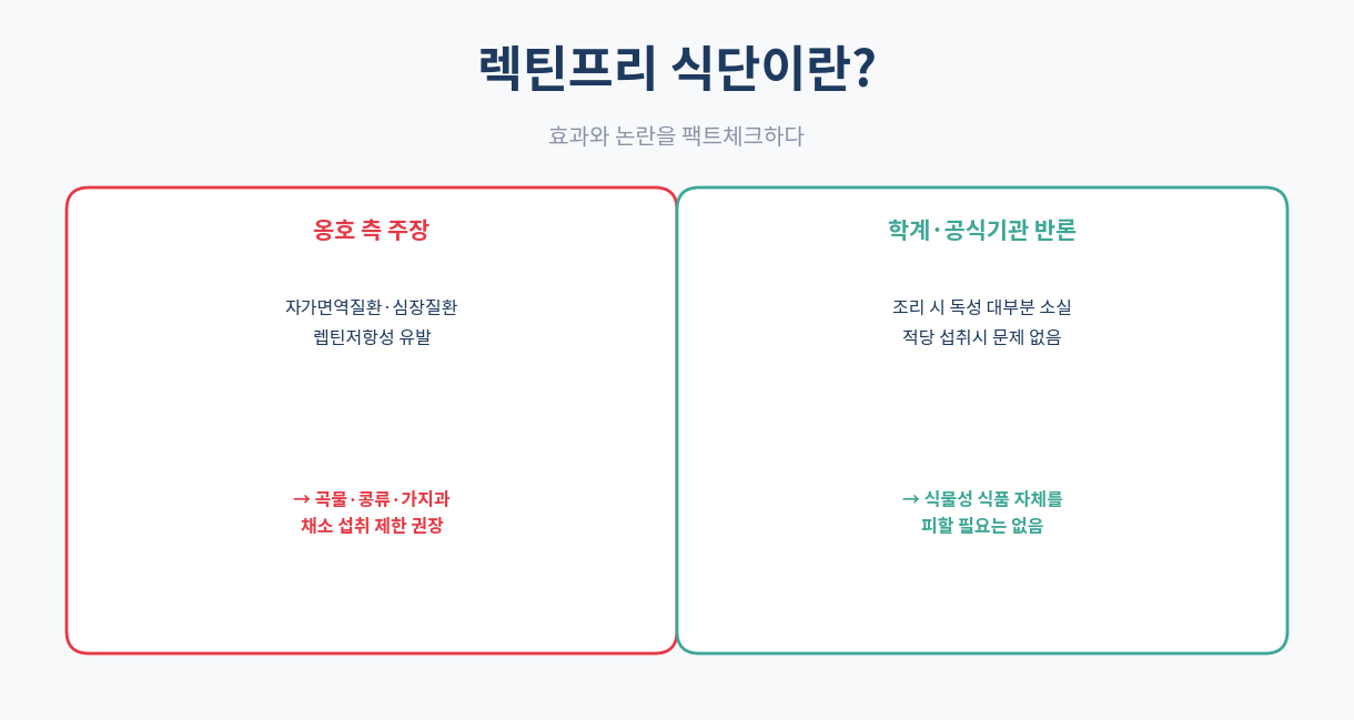 렉틴프리 식단이란|효과와 논란 팩트체크