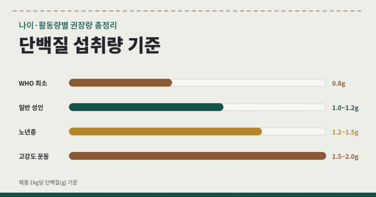 체중과 나이에 따라 달라지는 단백질 섭취량을 보여주는 다양한 단백질 식품 이미지