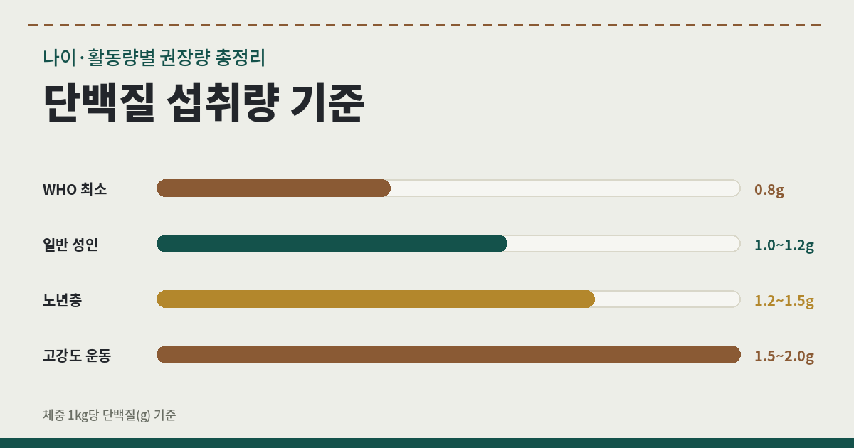 체중과 나이에 따라 달라지는 단백질 섭취량을 보여주는 다양한 단백질 식품 이미지