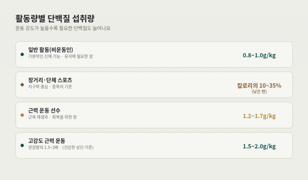 활동량별 단백질 섭취량 비교 — 일반 활동, 장거리·단체 스포츠, 근력 운동, 고강도 근력 운동