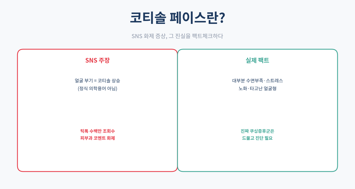 코티솔 페이스란｜SNS 화제 증상의 진실