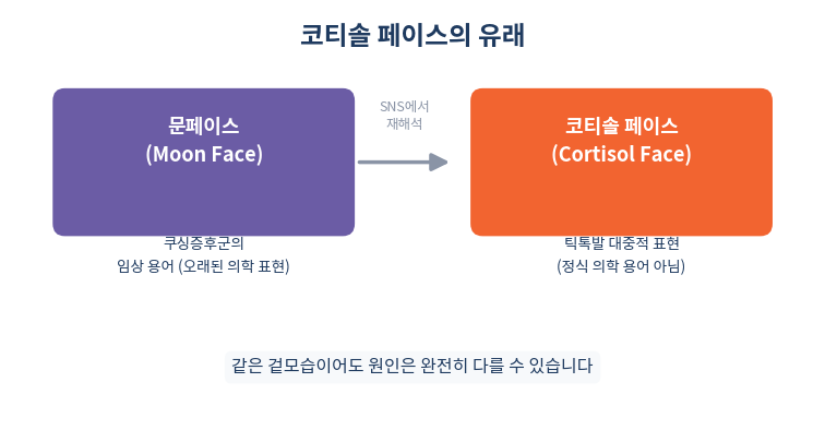 코티솔 페이스와 문페이스 유래 관계