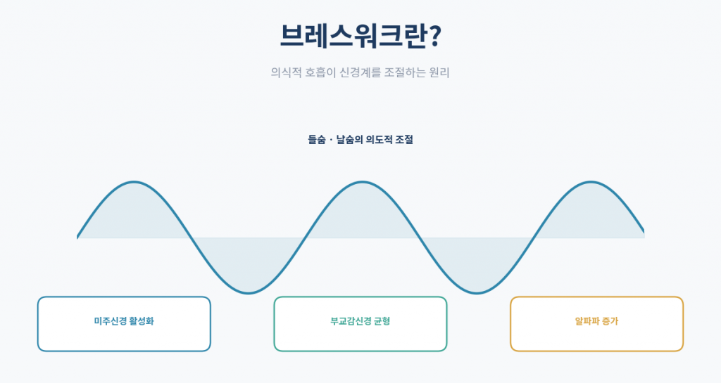 브레스워크 개념 인포그래픽 자율신경계 조절