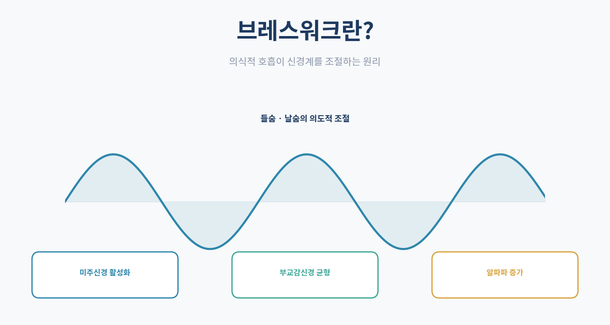 브레스워크 개념 인포그래픽 자율신경계 조절