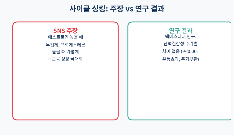 사이클 싱킹 주장 vs 연구결과 비교