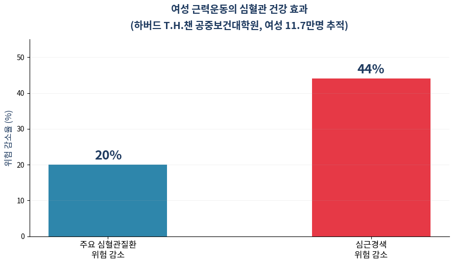 여성 근력운동 심혈관질환 예방 효과 그래프