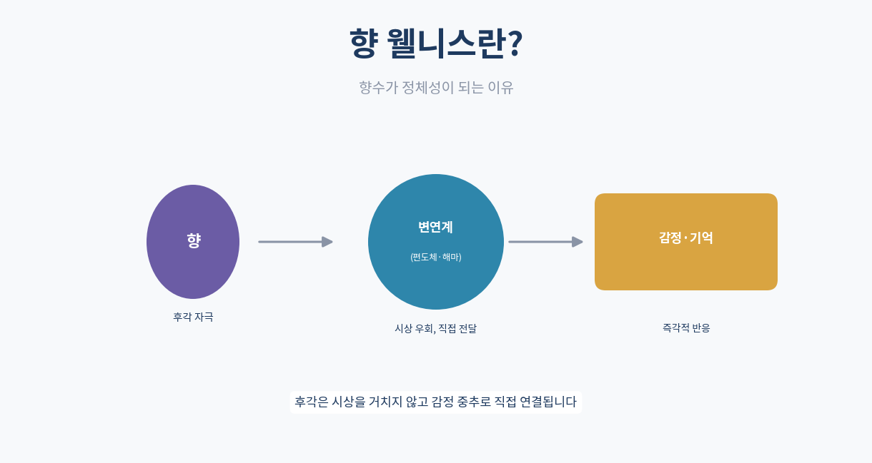 향 웰니스란｜향수가 정체성이 되는 이유