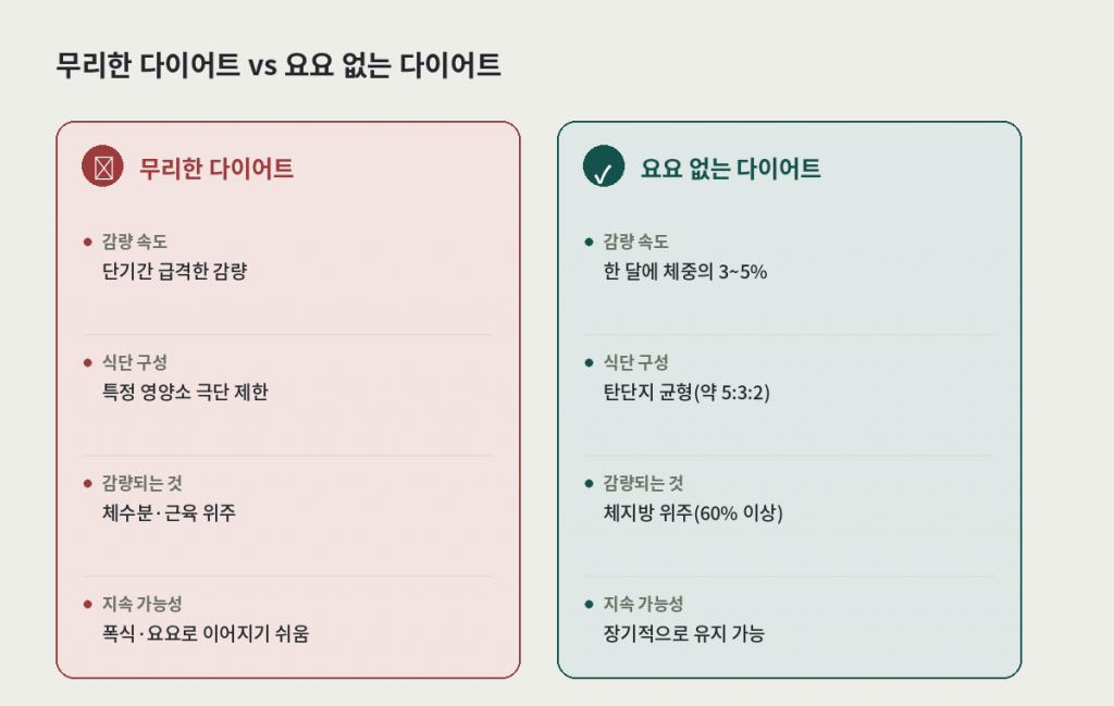 무리한 다이어트와 요요 없는 다이어트 비교 카드 — 감량 속도, 식단 구성, 감량되는 것, 지속 가능성