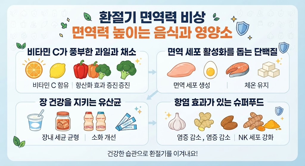 환절기 면역력 비상! 면역력을 높이는 최고의 음식과 영양소