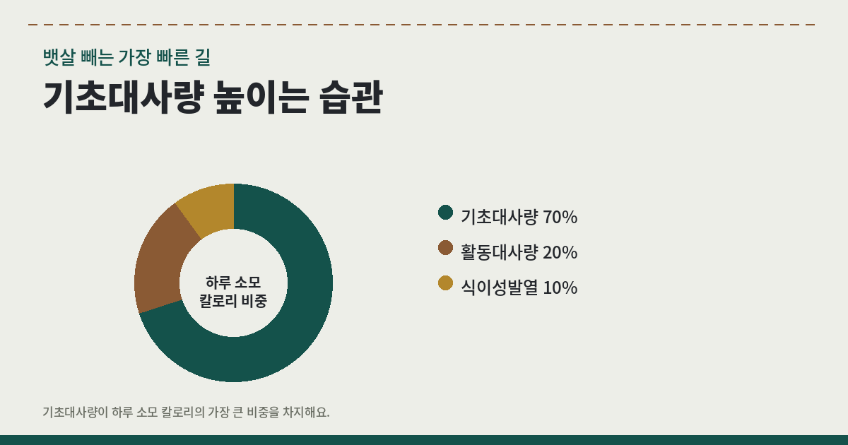 기초대사량 높이는 습관｜뱃살 빼는 가장 빠른 길